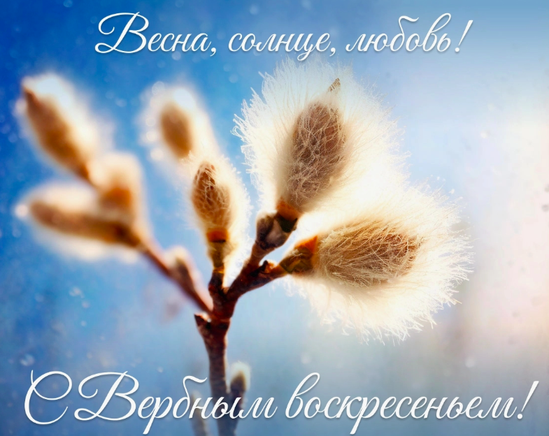 Фото Открытки с Вербным воскресеньем: красивые поздравления с праздником 5 апреля 2026 года 8 - Сиб.ФМ Фото Открытки с Вербным воскресеньем: красивые поздравления с праздником 5 апреля 2026 года 8